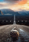Canvas Wall Art Posters and Prints