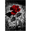 Canvas Painting

floral wall decor

rose art print

canvas flower poster

modern wall art

rose flower painting

botanical canvas print

living room wall art

modern flower artwork

rose poster art

canvas wall painting